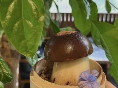-成都银泰城