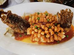 -九头鸟酒家(东高地店)