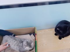 -中农大我爱我爱动物医院·核磁CT·猫病·24小时夜诊中心(石佛营店)
