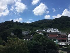 -龙井村