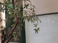 -潮上潮(南中环店)