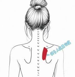 -雅曼妮spa美容养生