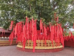 -西双版纳总佛寺