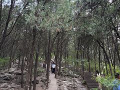 -云龙山