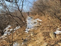 -北京西山国家森林公园