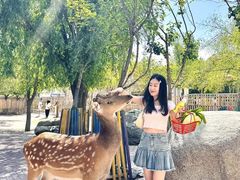 -水上乐园·欢乐世界