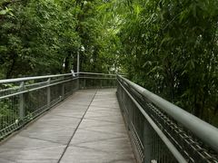 -佛山华盖山公园