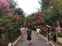 -武汉紫薇都市田园