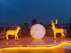 -梧桐餐厅(泉城路店)