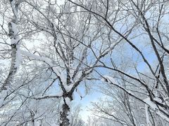 -终南山南五台景区