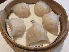 -金悦轩海鲜城(渔人码头店)