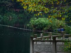 -重庆彩云湖湿地公园