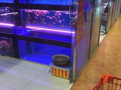 -大自然花鸟鱼虫市场