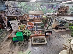 -八仔大富楼·河鲜(西江店)