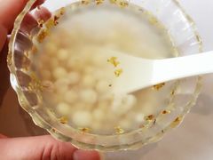 桂花鸡头米-老洋房花园饭店(绍兴路店)