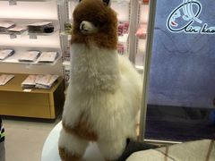 -国药中服免税(北京坊店)