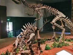 -自贡恐龙博物馆