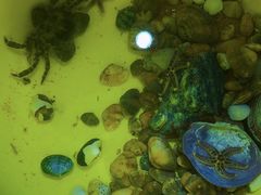 -威海国际海水浴场旅游区