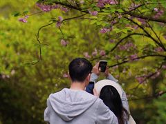 -贵阳市花溪国家城市湿地公园