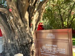 -北京市劳动人民文化宫(太庙)