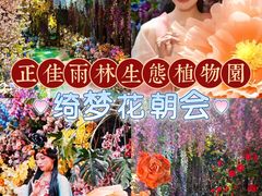-正佳雨林生态植物园