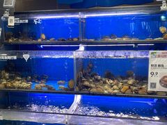 水产区-盒马鲜生(双清路店)