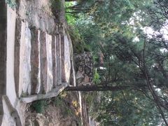 -北京鹫峰国家森林公园