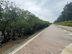 -宝安西湾红树林湿地公园