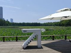 -艾溪湖湿地公园