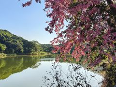 -风云岭森林公园