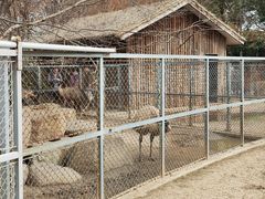 -苏州上方山国家森林公园