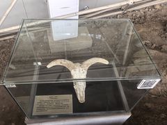 -中国第四纪冰川遗迹陈列馆