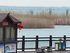 -太湖湖滨国家湿地公园-停车场