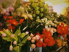 -FLOVIE FLORIST CAFE