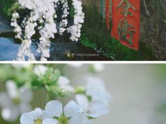 -中国茶叶博物馆(双峰馆区)