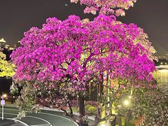 -海心沙亚运公园