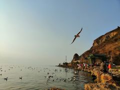 -大理洱海