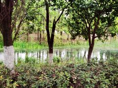 -武汉园博园(武汉自然博物馆)