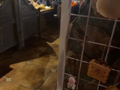 -凯仕国王(龙湾大街店)
