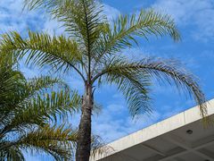 -福州大学(旗山校区)