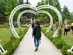 -昆山城市生态森林公园