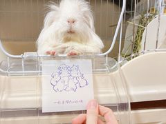 -雨林宠物医院 非犬猫异宠专科