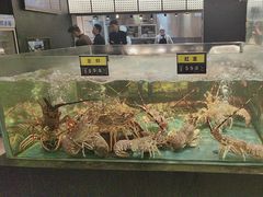 -龙宴海鲜城(经中路店)