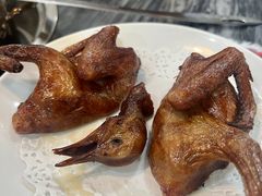 -鸽鸟轩(石岐店)