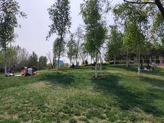 -西安浐灞国家湿地公园