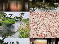 -罗红摄影艺术馆