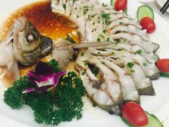 -田园小观园(武大店)