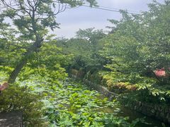 -鹤冈八幡宫