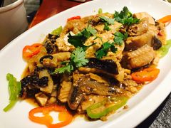 -苏大嘴海鲜牧场(奥林匹克店)