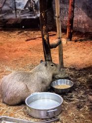 -Zoolung Zoolung动物主题公园(海信广场店)